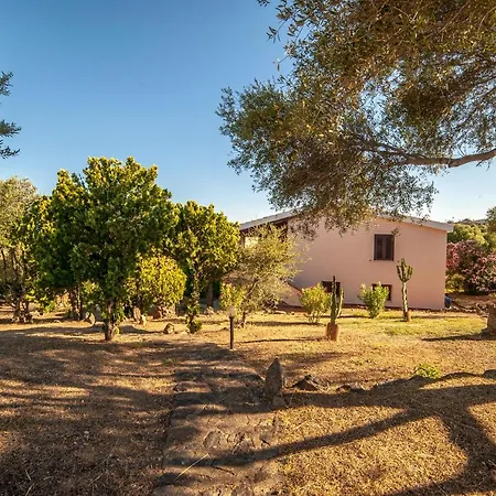 Lilly * Ольбия